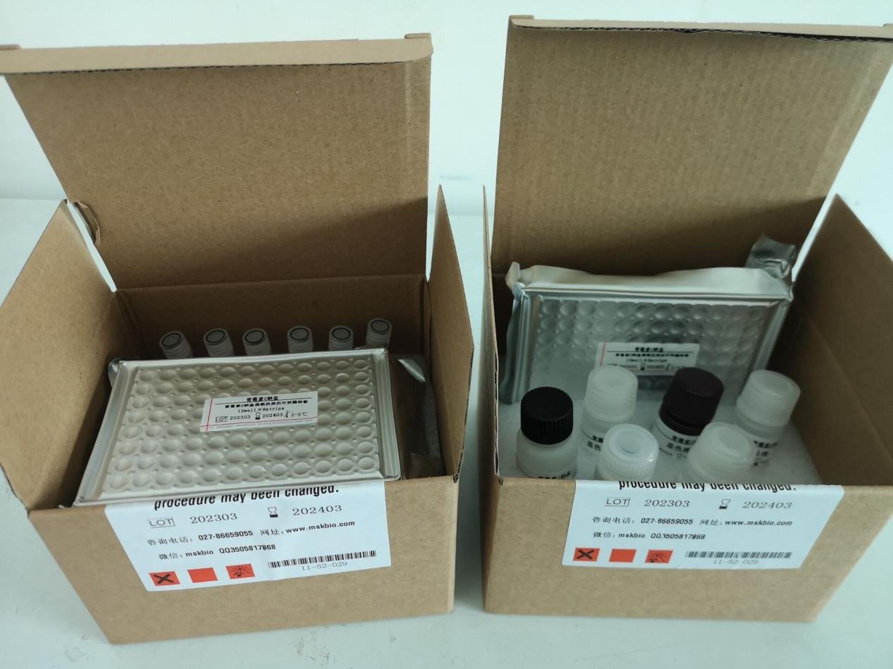 犬中性粒细胞明胶酶相关脂质运载蛋白（NGAL）elisa试剂盒